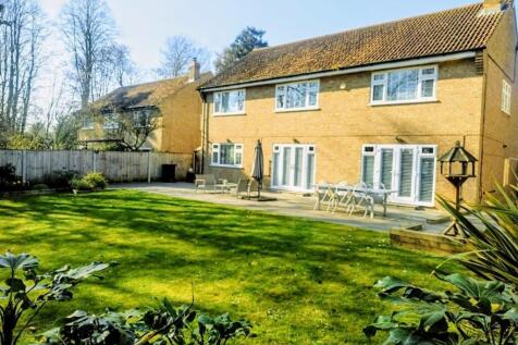 Property Image 31