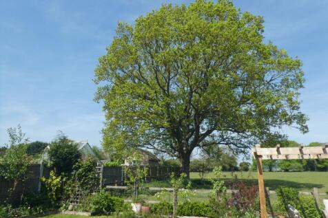 Property Image 35