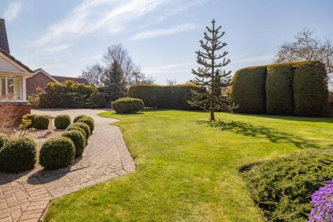 Property Image 41