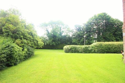 Communal Garden 