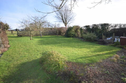 ORCHARD