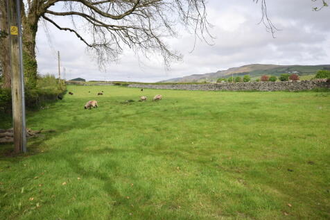 PADDOCK
