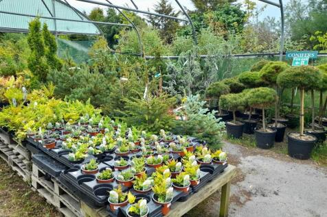 Property Image 32