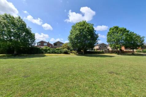 Rear fields