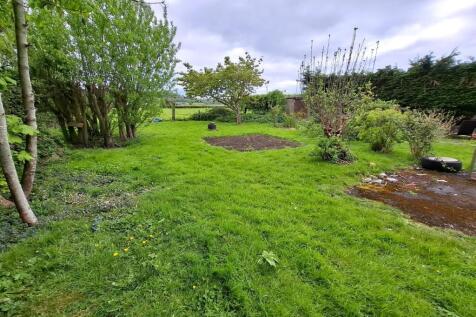 2 - rear garden.jpg
