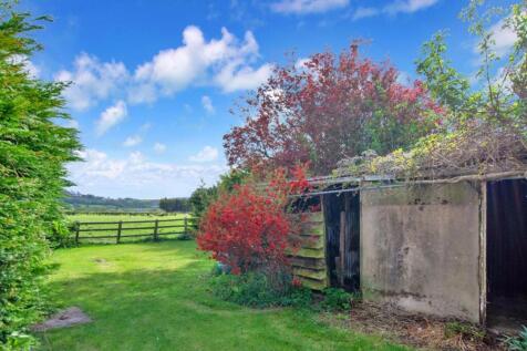 7 - rear garden.JPG