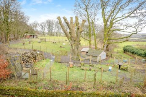 Property Image 14
