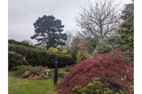 Mature Garden