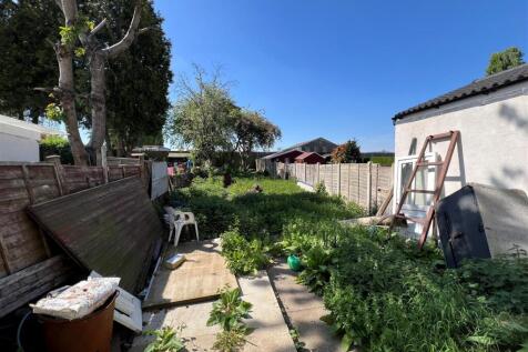 garden.jpg