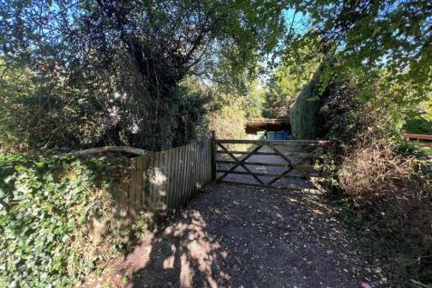driveway.jpg