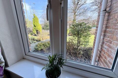 Bedroom View