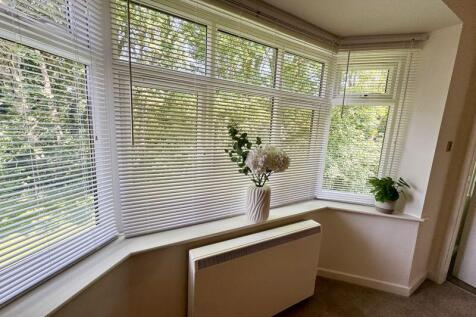 Lounge Window