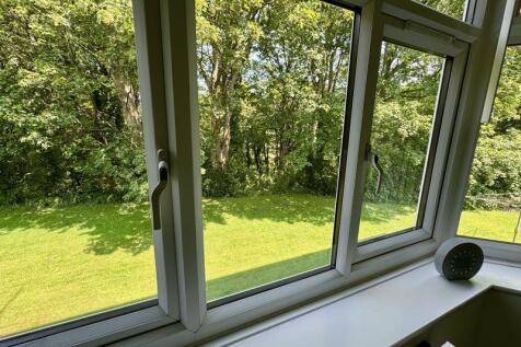 Bedroom View