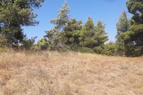 Land 8076 m² in Attica - 4