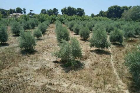 Land 12700 m² in Western Peloponnese - 7