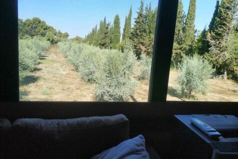 Land 12700 m² in Western Peloponnese - 6