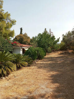 Detached house 250 m² on the Euboea island  - 22