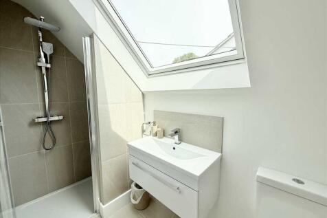 Annexe Shower Room