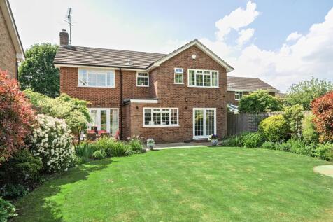 Property Image 18