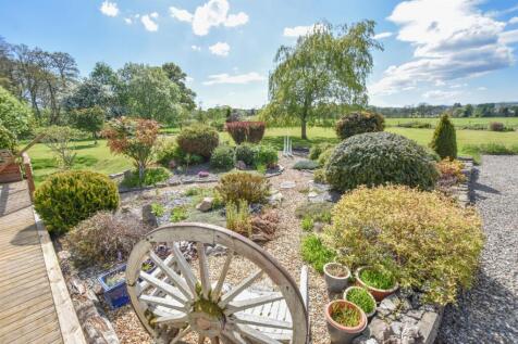 GARDEN (7)-2.jpg