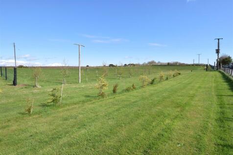 OVERVIEW OF BOTH PLOTS.JPG