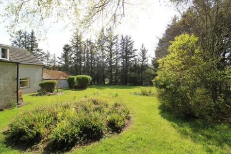REAR GARDEN (1).JPG