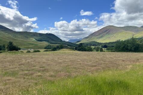VIEW FROM ROADSIDE .jpg