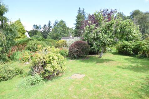 FRONT GARDEN .JPG