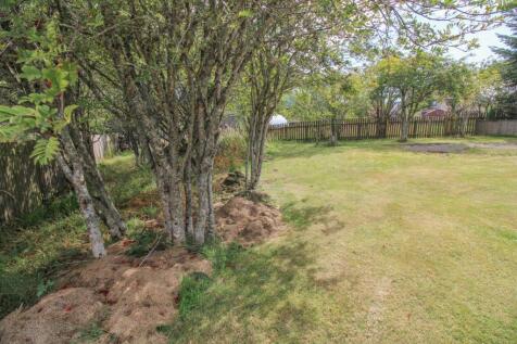 FRONT GARDEN.jpg