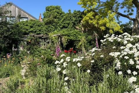 Summer Garden