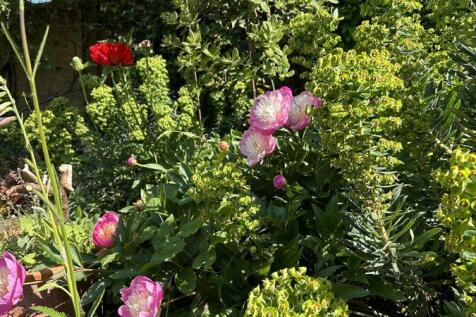 Summer Garden