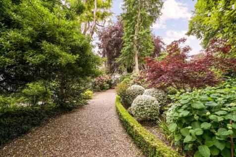 Communal Garden