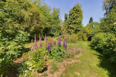 Property Image 44