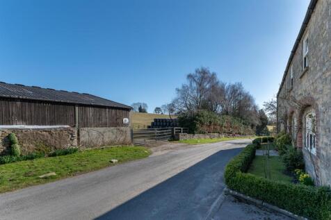 Property Image 63