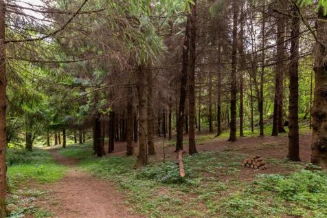 Property Image 39