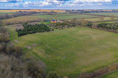 DJI_20250228151347_0043_D-Enhanced-NR.jpg