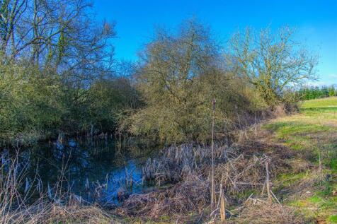 DSC_2380.jpg