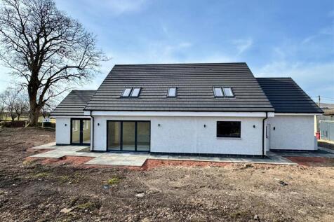 Rear External