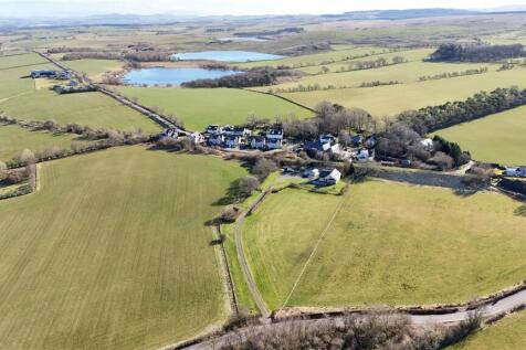 Ariel Shot
