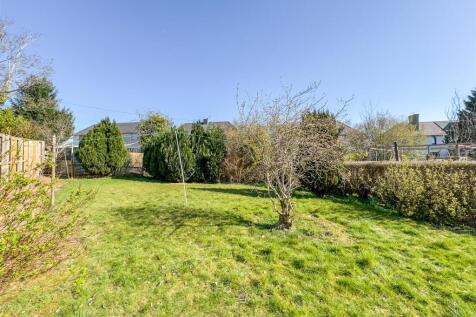 Back Garden