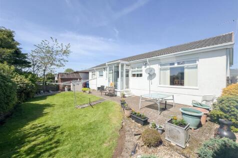 Back garden