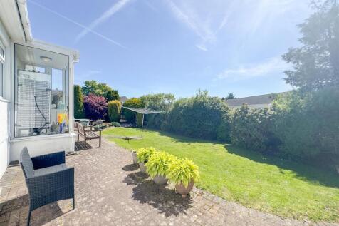 Back garden