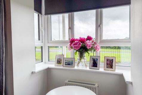Box Bay Window