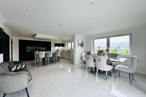 Kitchen/living/dining