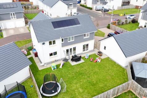 Aerial view of garden