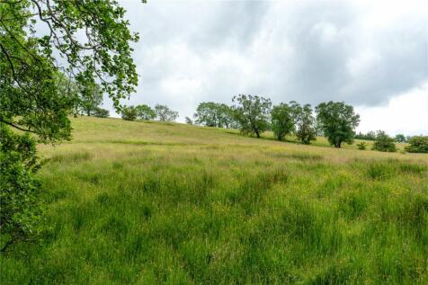 Lot 5