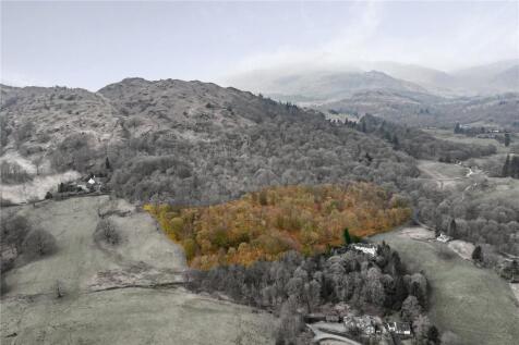 Woodland At Skelwith