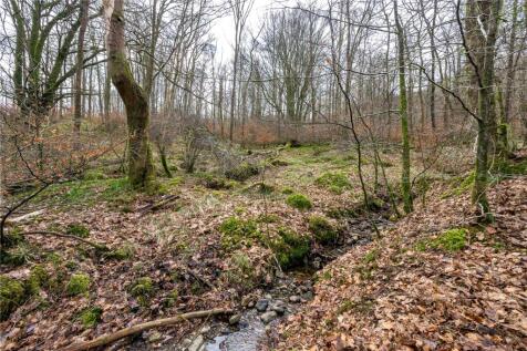 Woodland At Skelwith