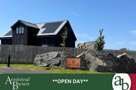 Open Sundays 2-4pm!!