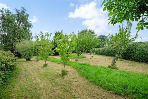 Seperate Orchard